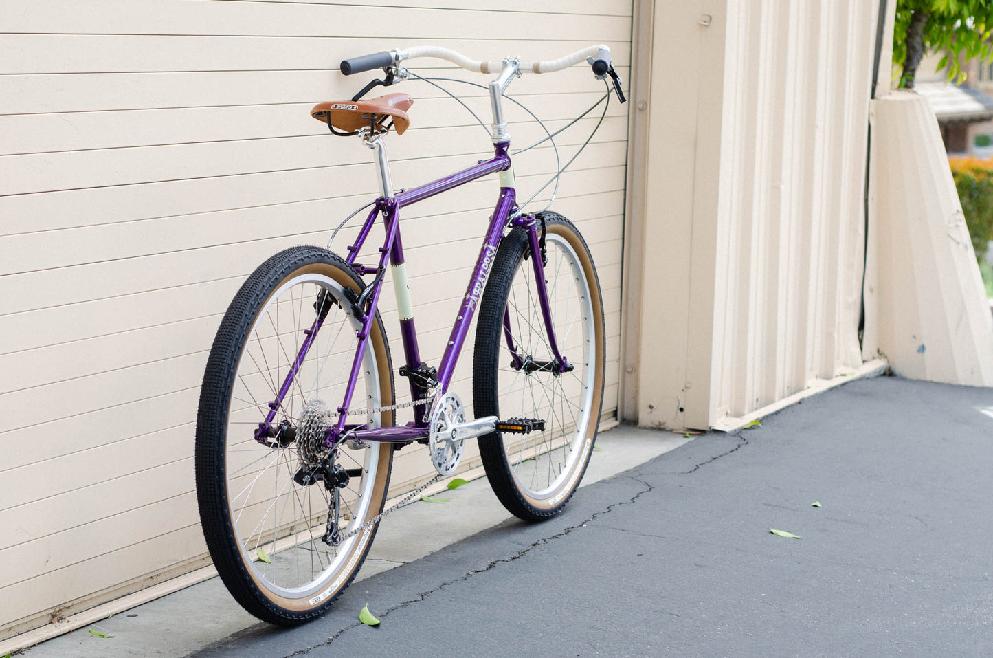 Appaloosa Build - Antonio's Pick (frame not included)